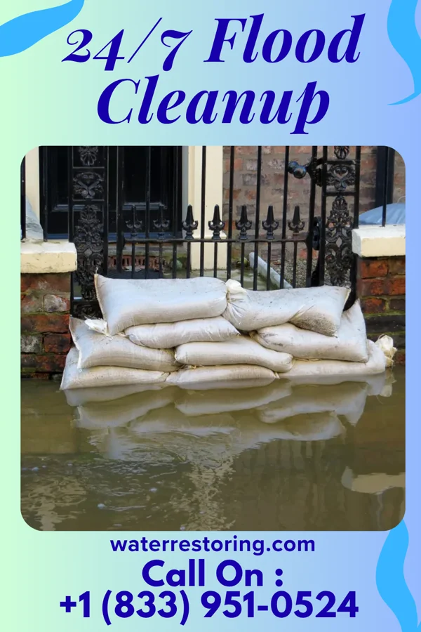 24/7 Flood Cleanup in Kings Park, VA