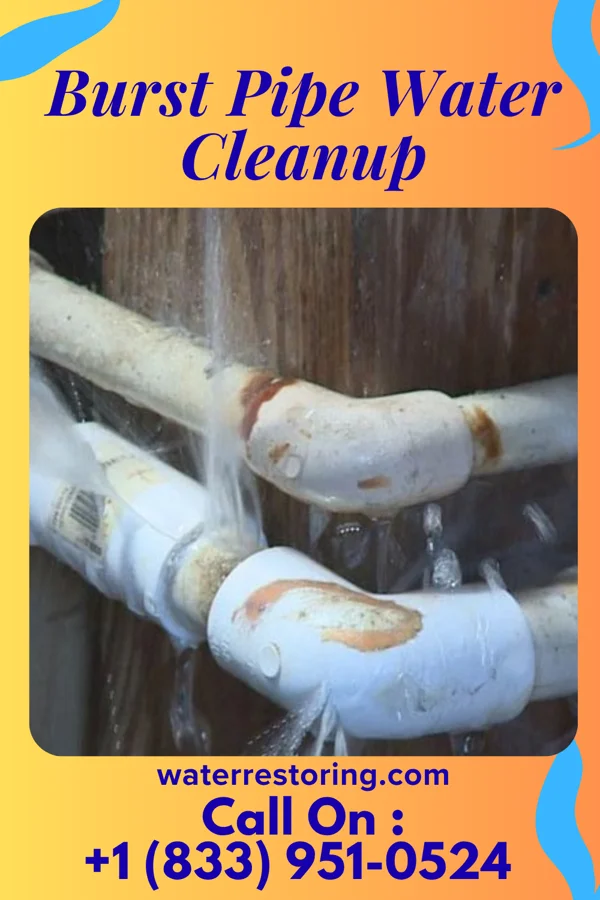 Burst Pipe Water Cleanup in Kings Park, VA