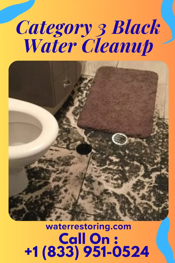 Category 3 Black Water Cleanup in Kings Park, VA