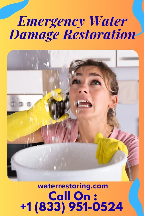 Emergency Water Damage Restoration in Kings Park, VA
