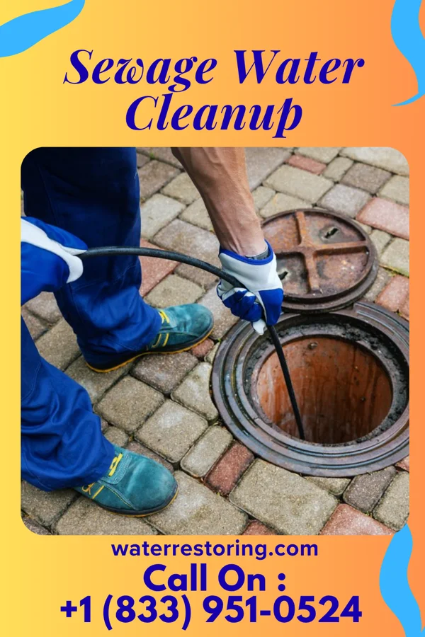 Sewage Water Cleanup in Kings Park, VA